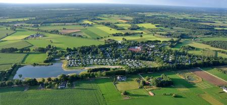 the Betteld the Betteld