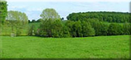 Pinkers-Vakantiewoningen