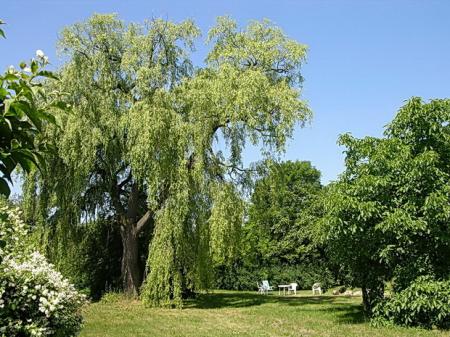 Dom gościnny Dawna Apteka