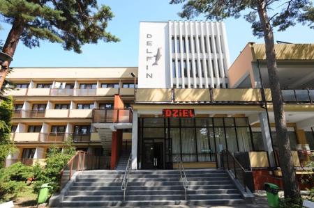 Rewita Jurata Delfin