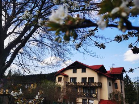 Hotel Ariston