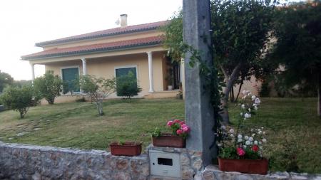 Casa da Floresta 114523/AL