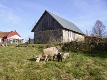 Körsbärsgården Rum o Frukost
