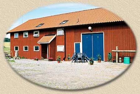 Jugendherberge Dingle