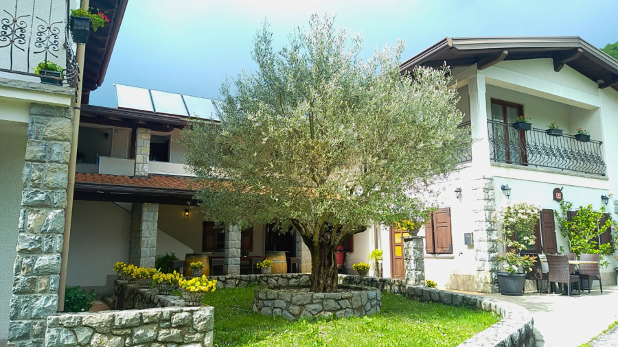 Prenočišča pri Martinovih