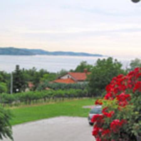 Apartmaji Lili Ankaran