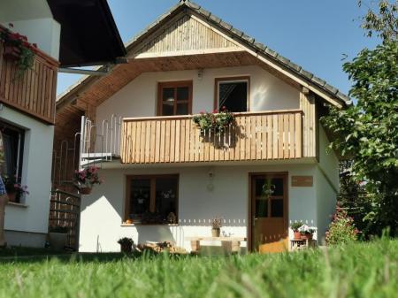 Apartmaji Vidic- Guest House