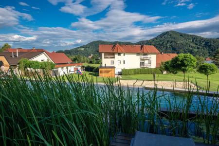 Apartmaji in wellness Skok Mozirje