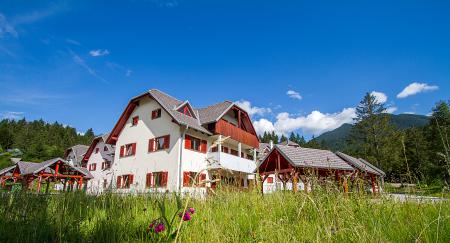 Apartments Bohinjskih 7