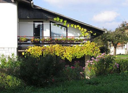 Apartman BLED