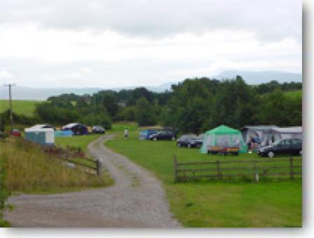 Redwell Fisheries Redwell Fisheries