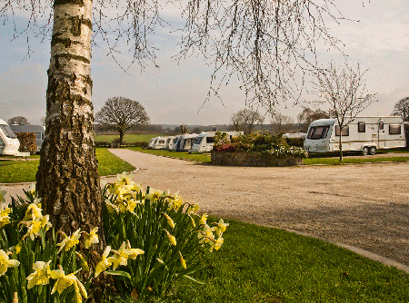 Penisar Mynydd Caravan Park