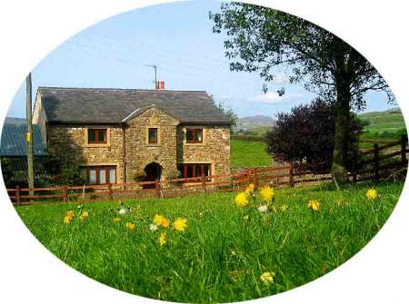 Nutstile Farm