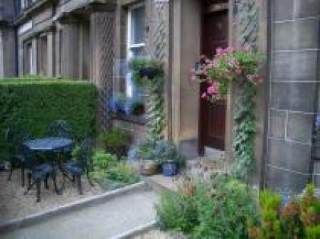 The Hedges The Hedges