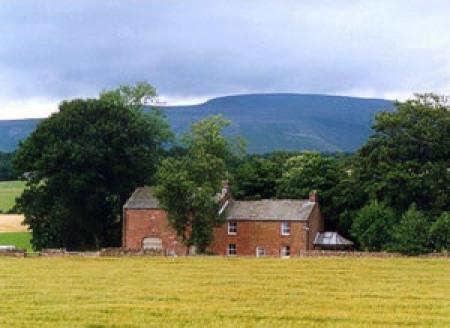 Low Howgill Farm Accommodation & Traditional Meats Low Howgill Farm Accommodation & Traditional Meats