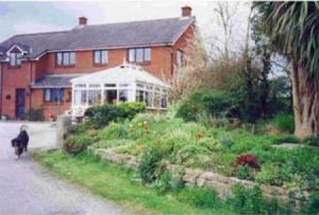 Pension The Hollies Bed and Breakfast_winter Pension The Hollies Bed and Breakfast_winter