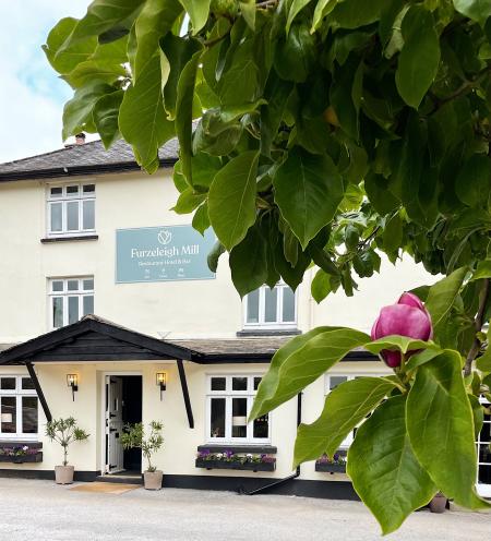 Hotel Furzeleigh Mill hotel_winter Hotel Furzeleigh Mill hotel_winter