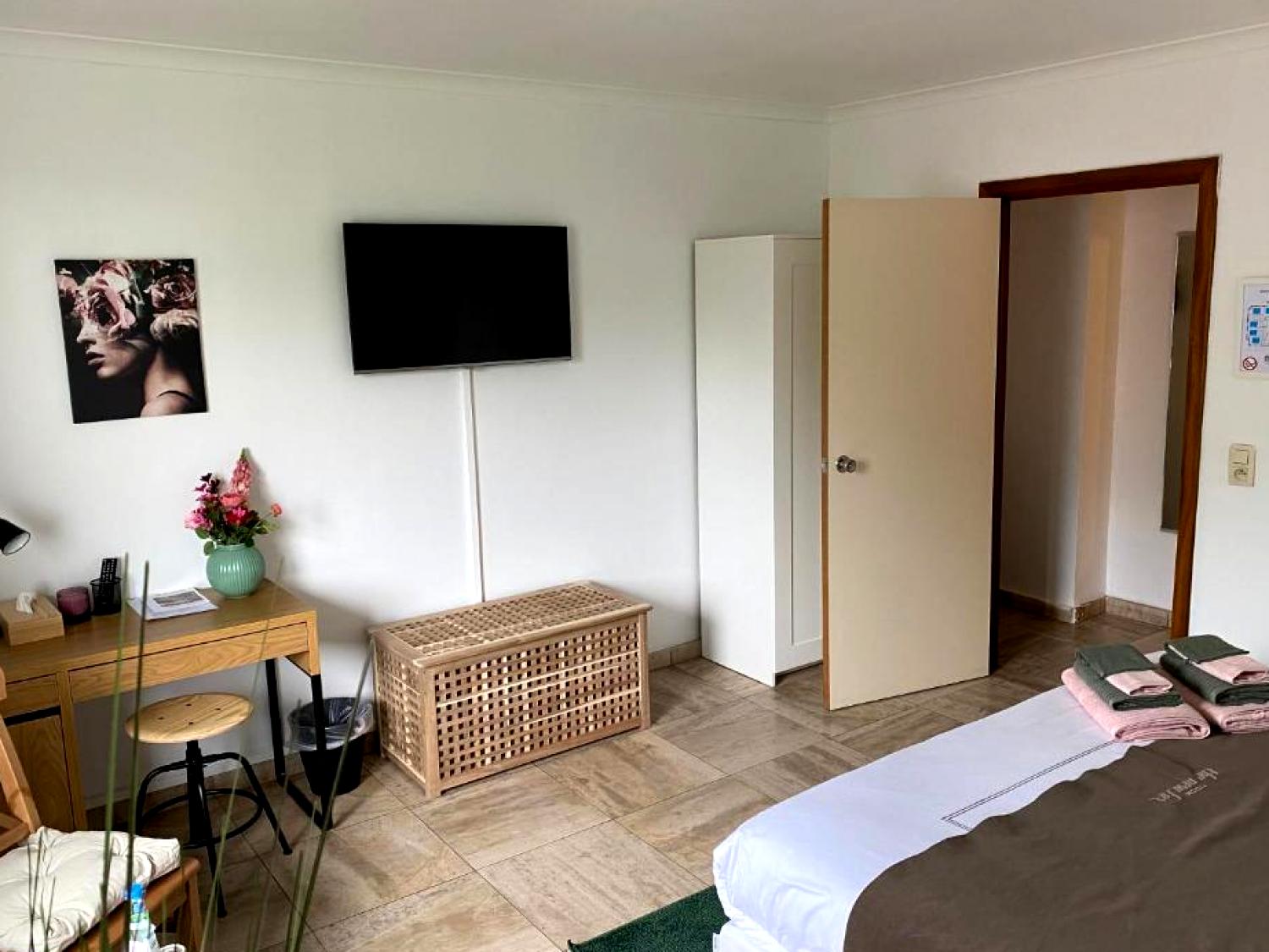 The New Fox The New Fox