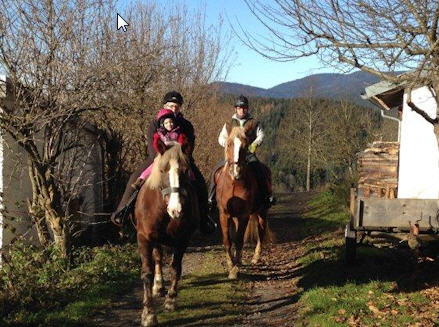 Bauernhof Niederbayern