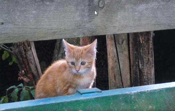 Bauernhof Deutschland