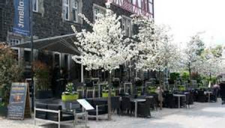 Gasthof / Restaurant Massage