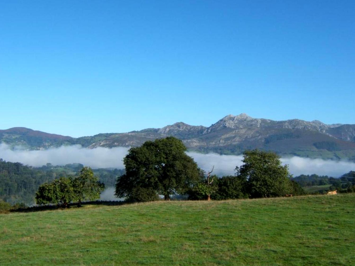 Finca el Palacio Finca el Palacio