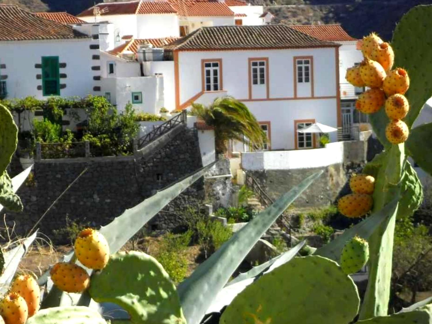 Casa Rural las Cáscaras