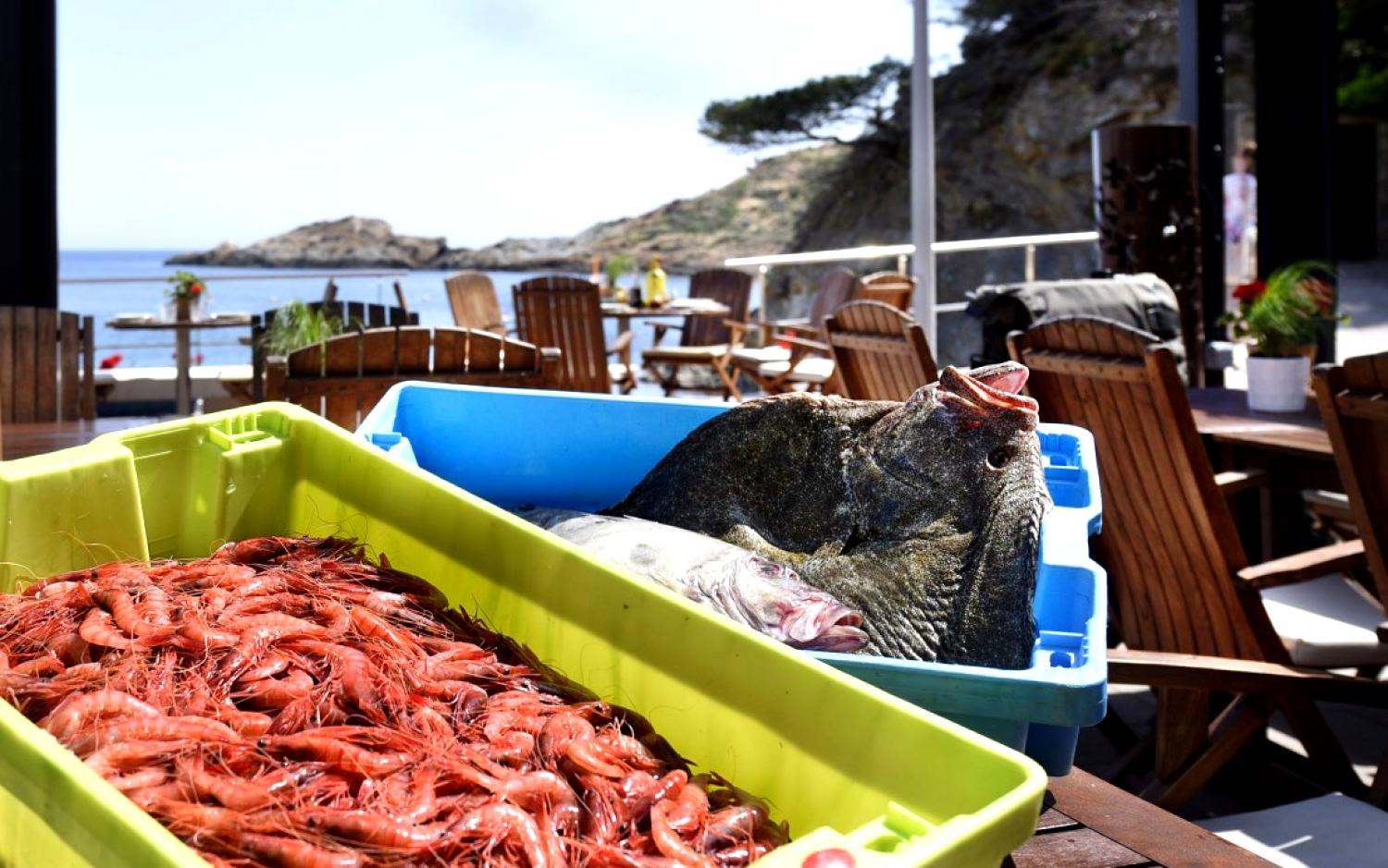 Hostal Restaurant Sa Tuna