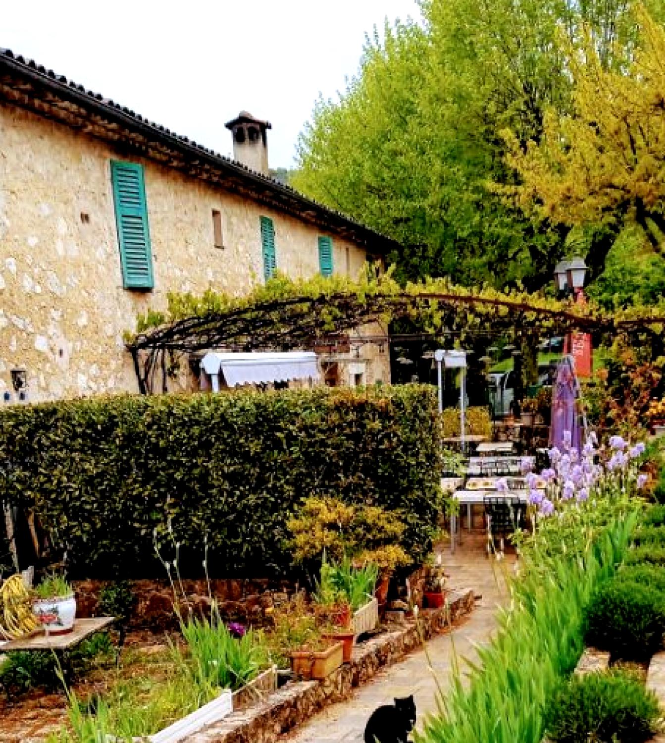 Hôtel Restaurant Auberge de Courmes