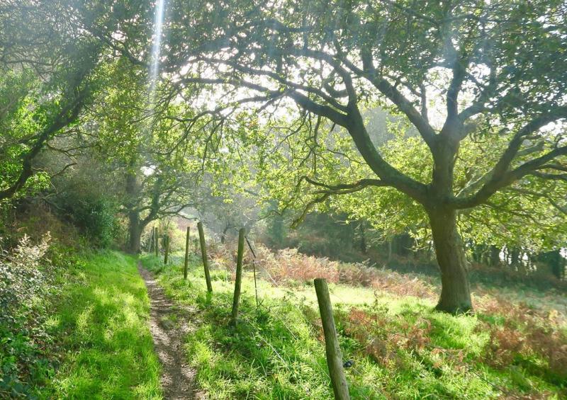 Ferienhaus Bungalow Schiverleih