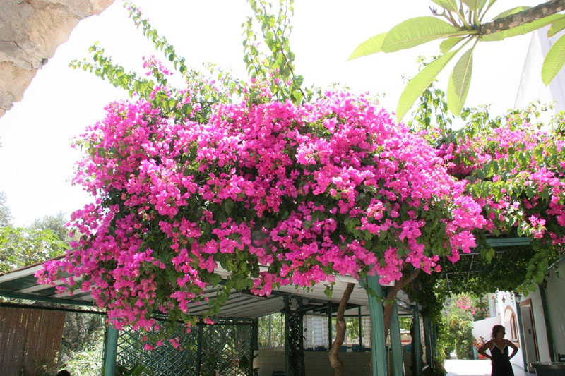 Hotel Wellness-Bereich