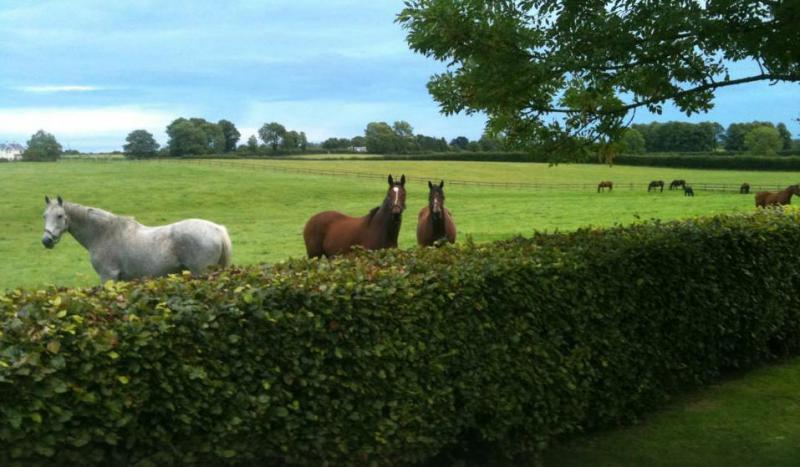 Pension Wellness-Bereich