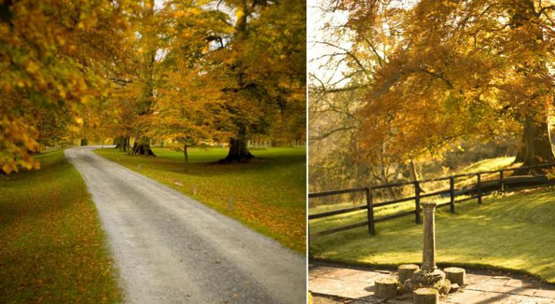 Pension Wellness-Bereich