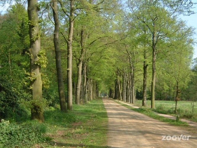 Camping Radverleih