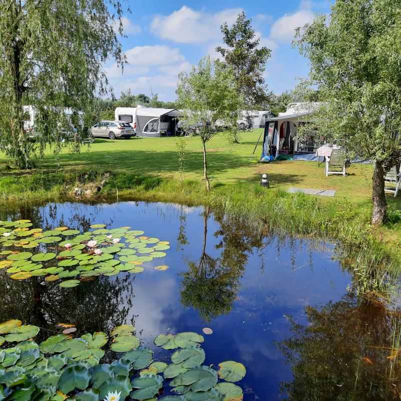 Camping Niederlande
