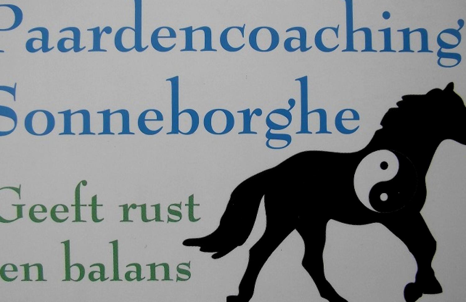 Paardencoaching Sonneborghe