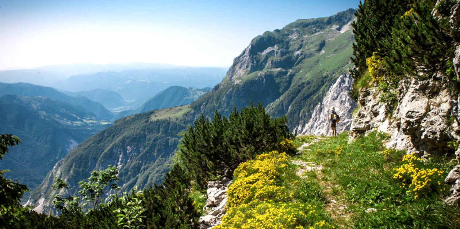 Turistična kmetija Kranjc