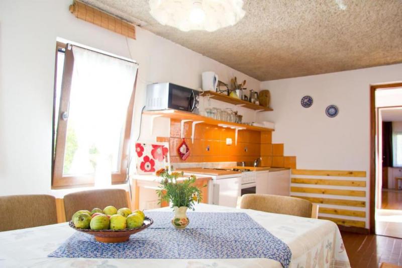 Appartement Ferienwohnung Appartement Ferienwohnung
