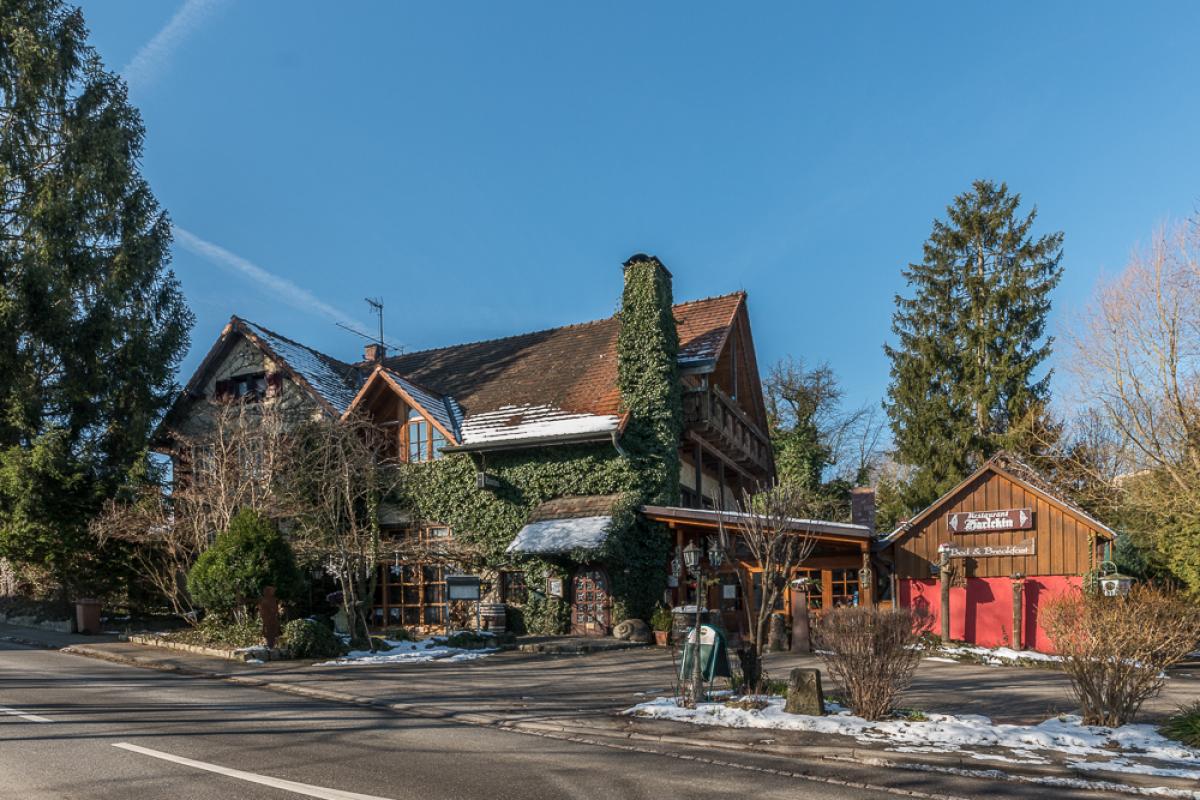 Harlekin aussen-2.jpg