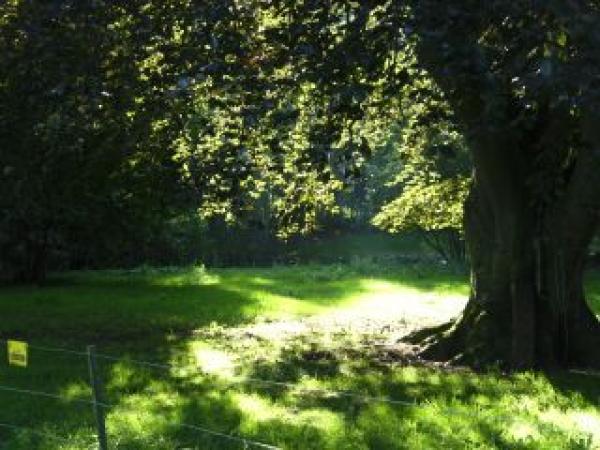 Bauernhof Beautyfarm