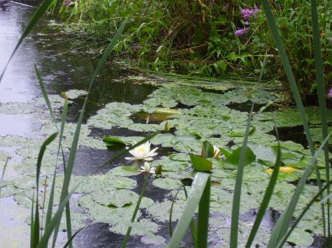 Privatvermieter Länsi-Suomen lääni