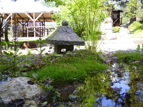 Privatvermieter Massage