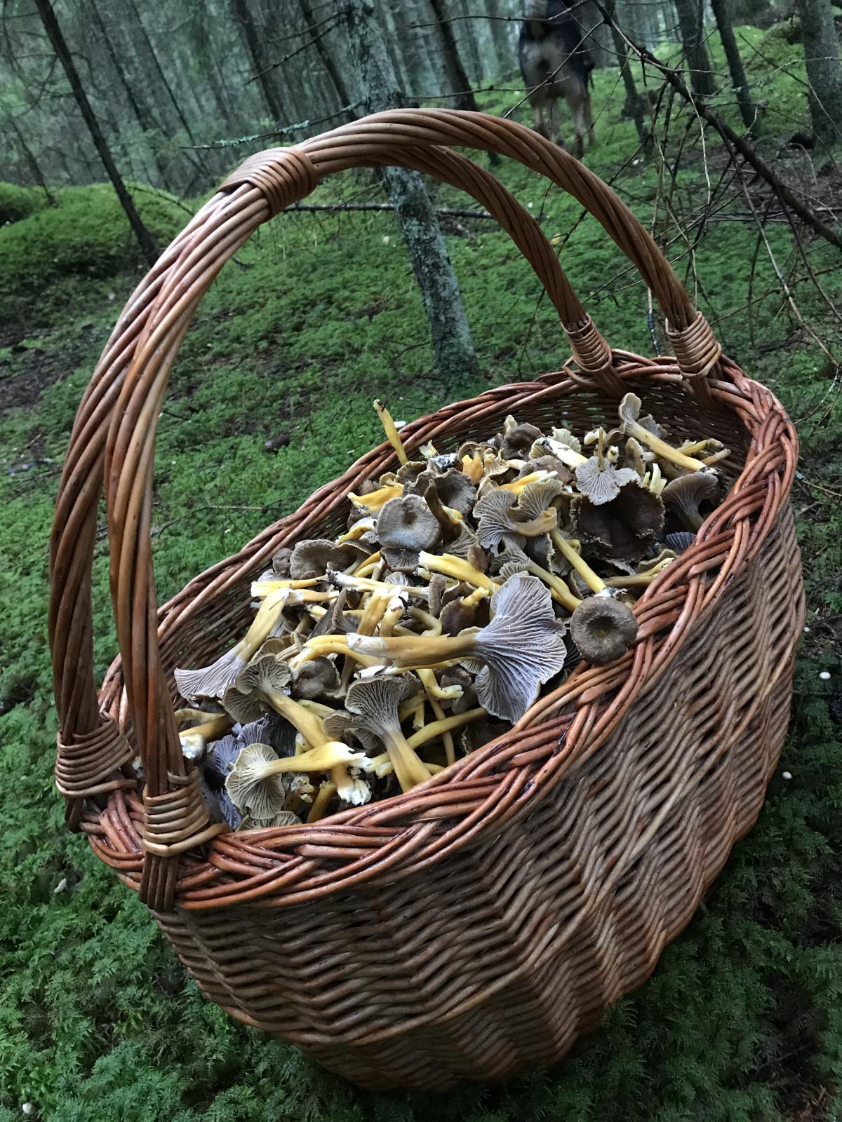 Appartement Ferienwohnung Kletterkurse