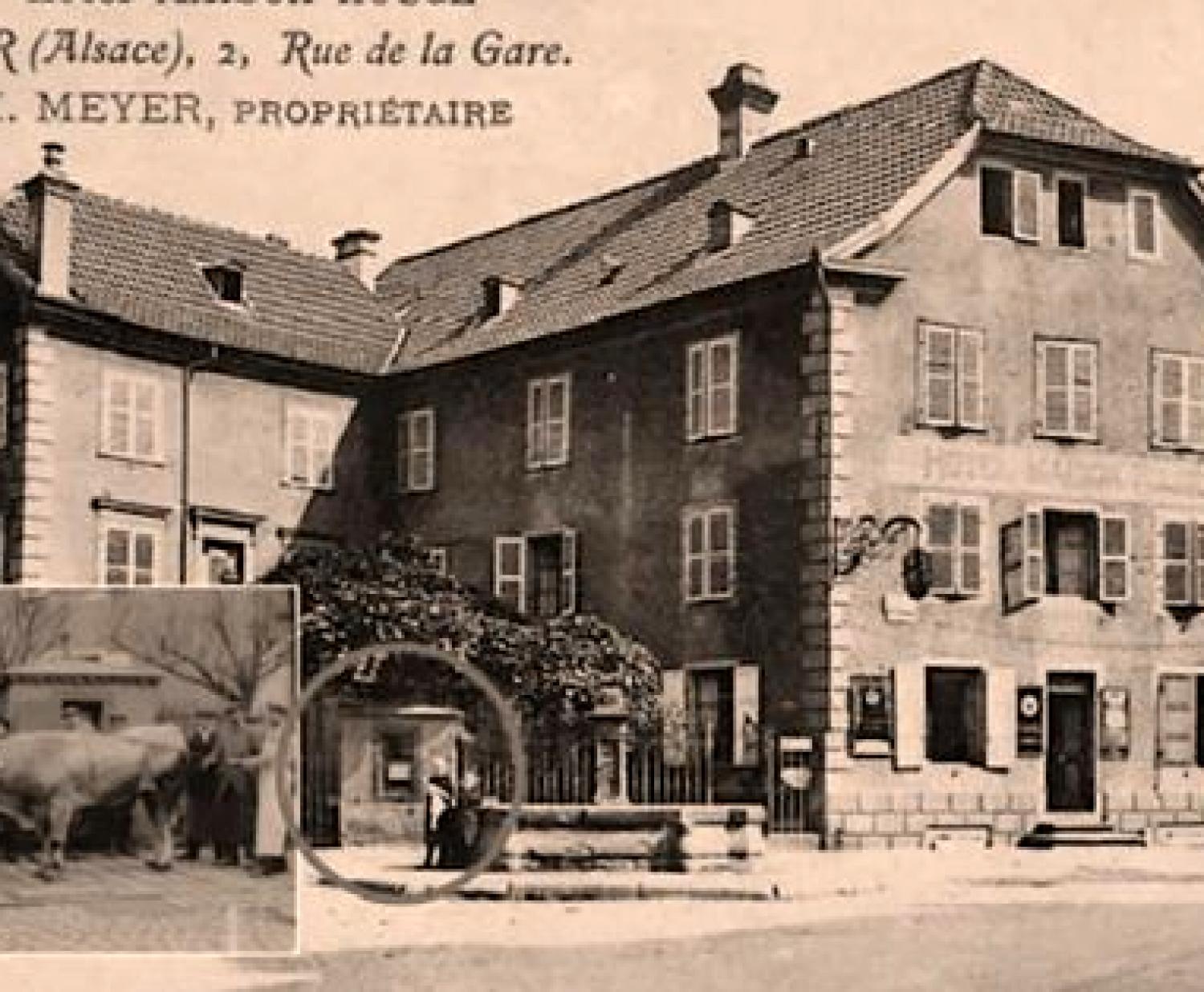 7-1660.jpg