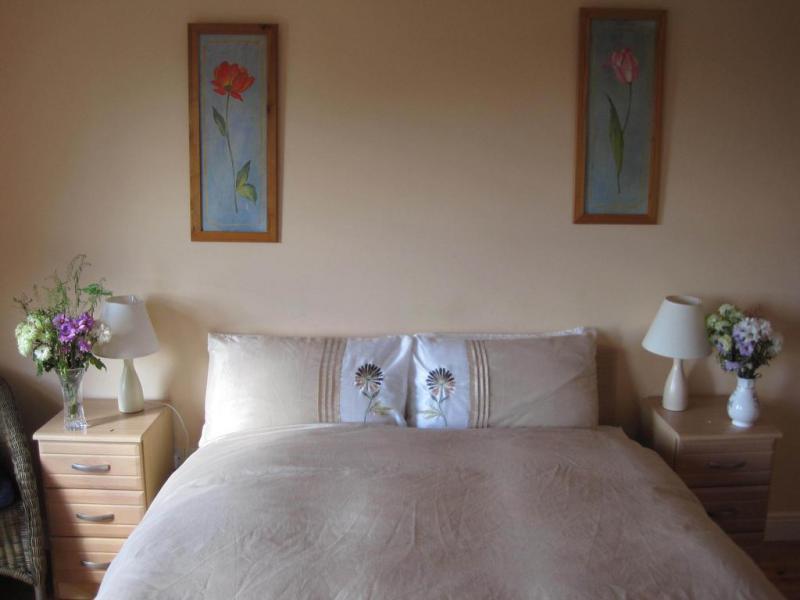 kilkenny-accommodation-ashbrook-bed-and-breakfast-15.jpg