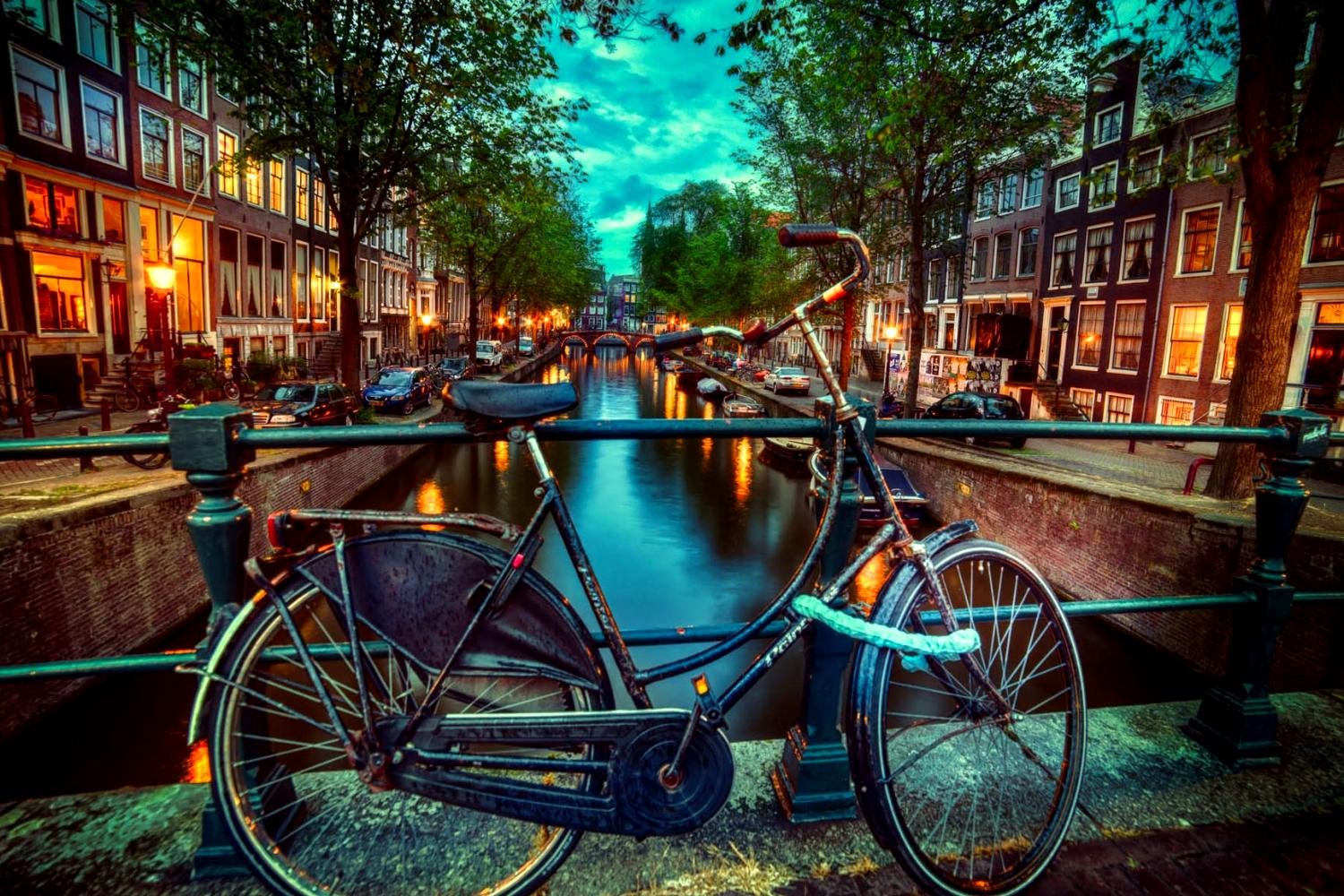 Blue Tulip Amsterdam