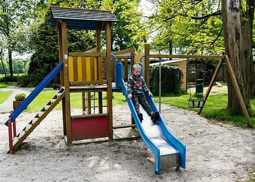 553.jpg