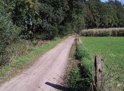 Prachtige-fiets-en-wandelmogelijkheden-rondom-Camp.jpg