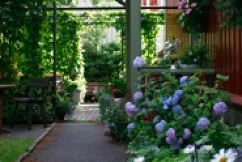 Pension Pension