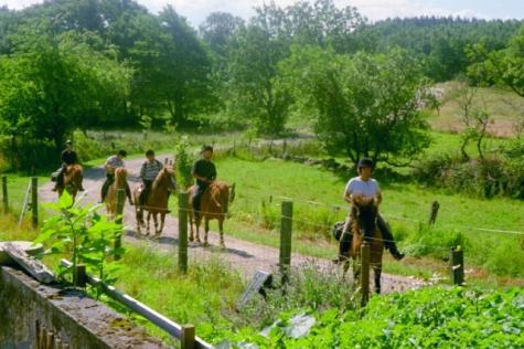 Bauernhof Wellness-Bereich